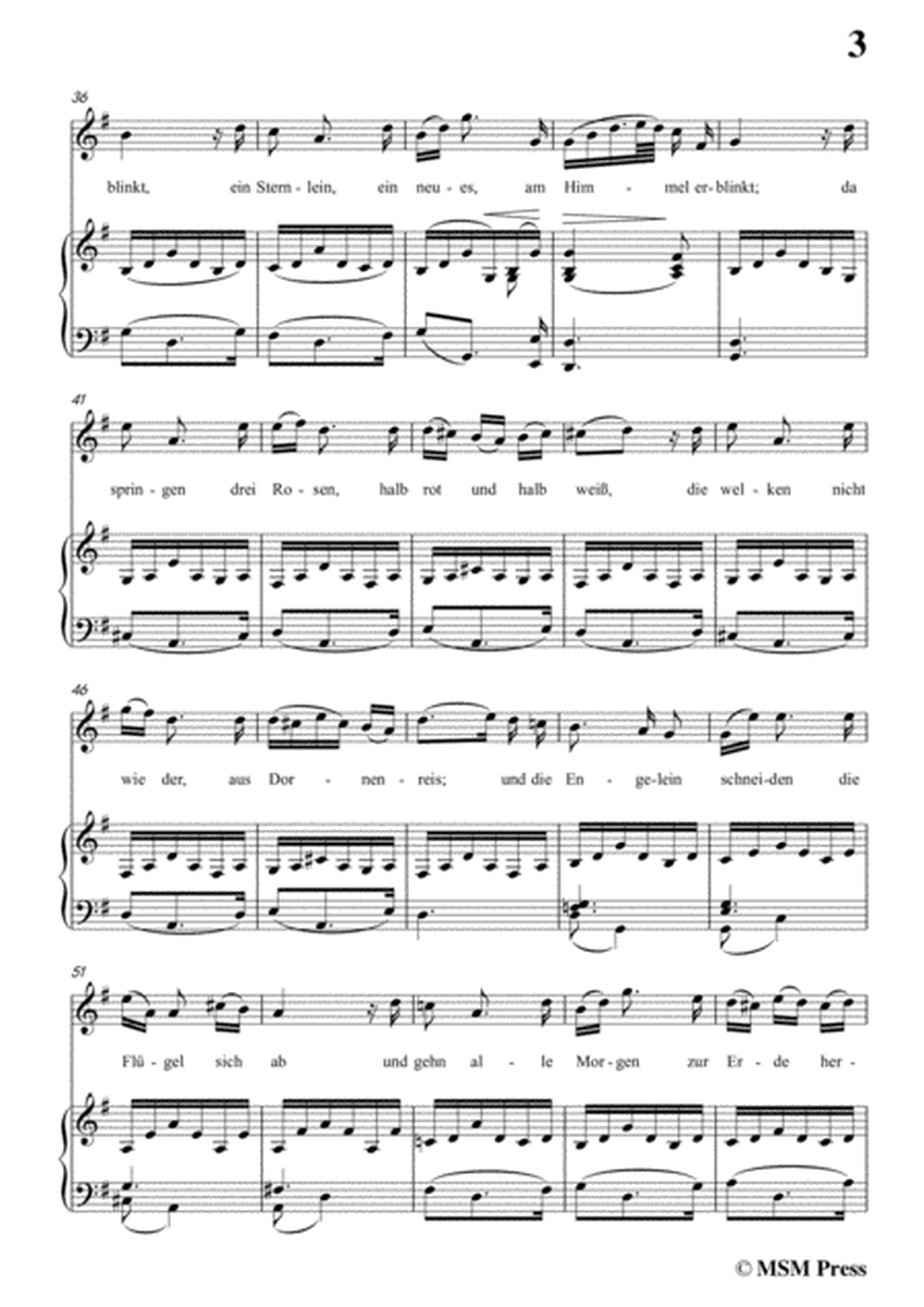 Schubert-Der Müller und der Bach,from 'Die Schöne Müllerin',Op.25 No.19,in g minor,for Voice&Piano image number null