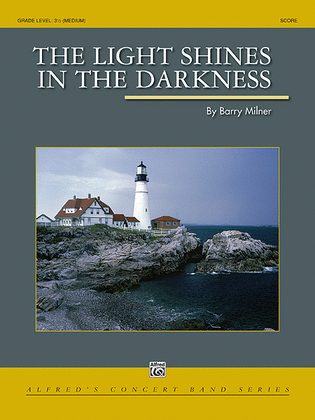 Book cover for The Light Shines in the Darkness