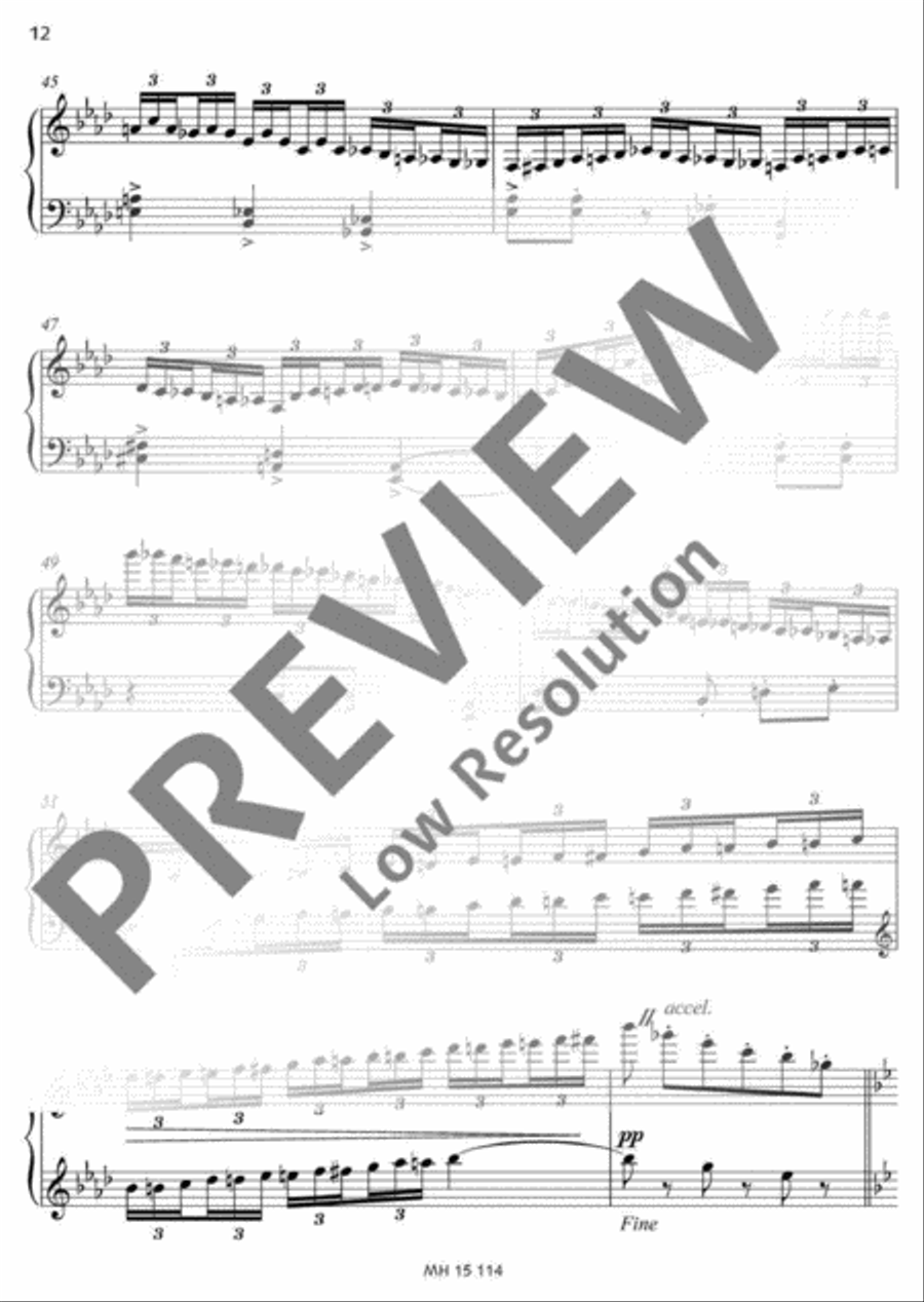 Frühlings-Partita Accordion scores gallery preview page 13