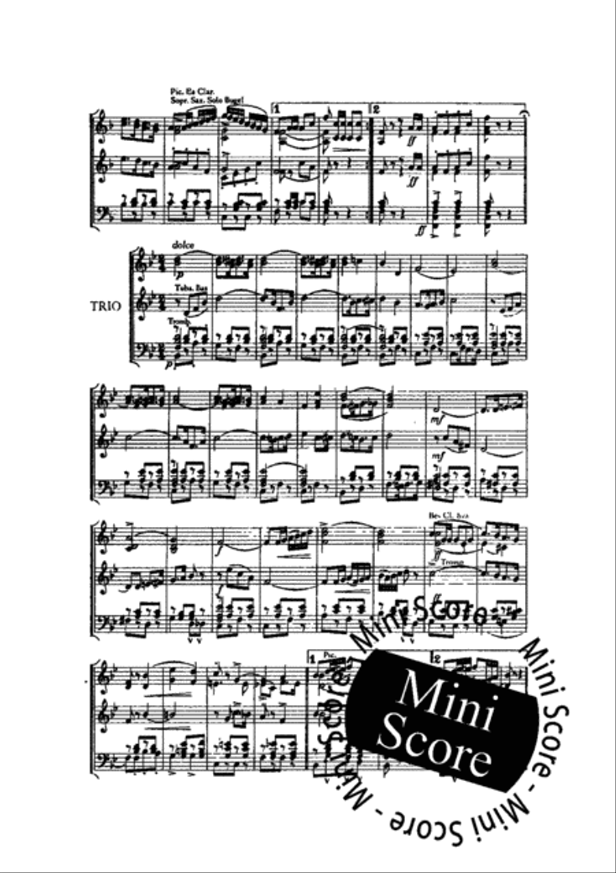 Door Zand en Heide Fanfare Band scores gallery preview page 5