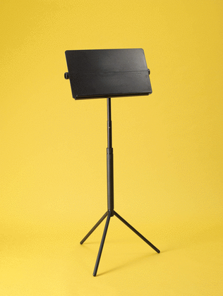 Book cover for Petersen Music Stand