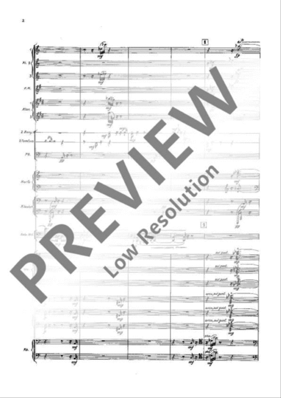 Canto di Speranza Canto di Speranza Chamber Orchestra scores gallery preview page 9