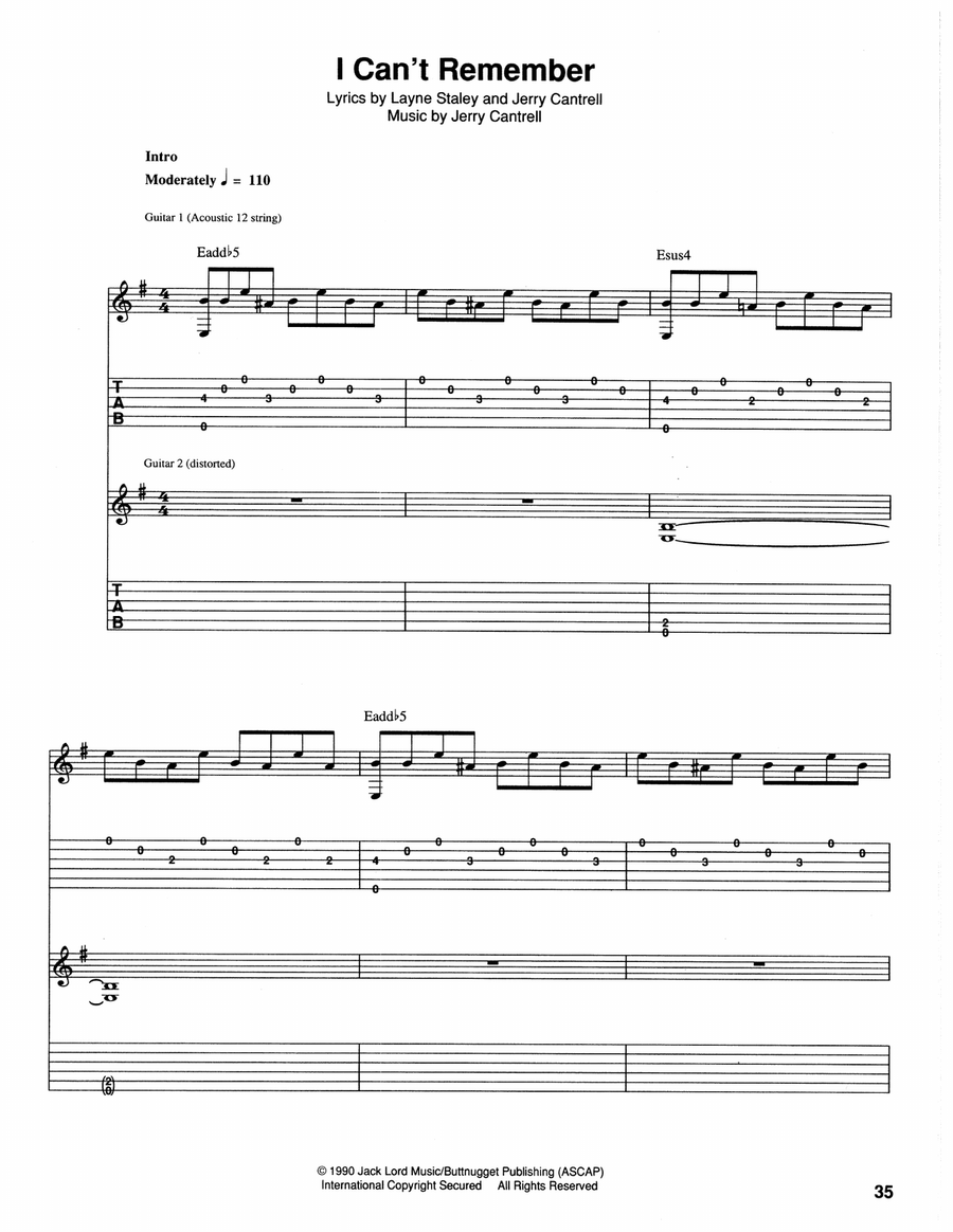 I Can't Remember Acoustic Guitar scores gallery preview page 1
