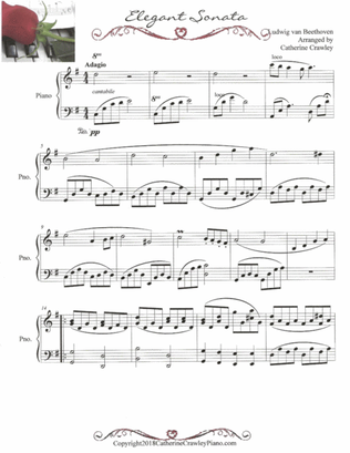 Elegant Sonata