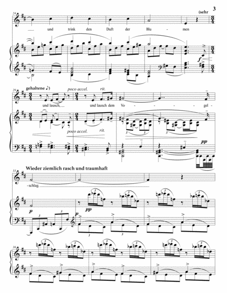 Das Heldengrab am Pruth, Op. 9 no. 5 (B minor)