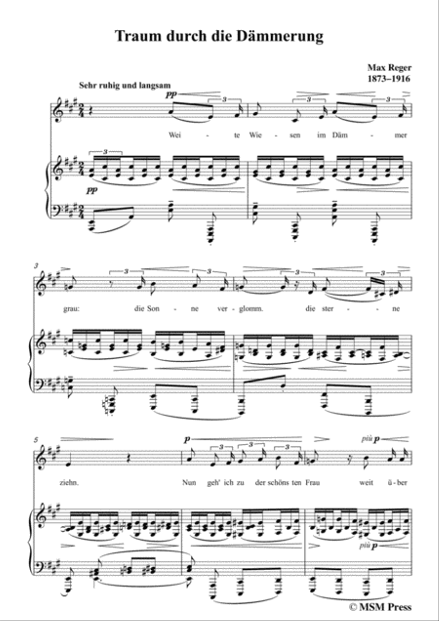 Reger-Traum durch die Dämmerung in A Major,for Voice and Piano Voice Solo scores gallery preview page 3
