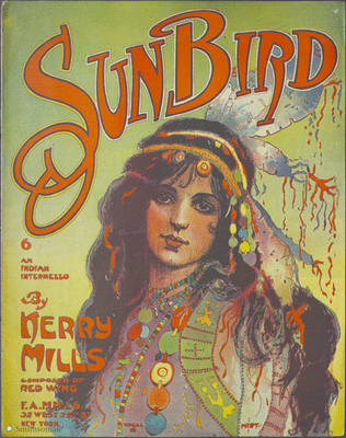 Book cover for SunBird (An Indian Intermezzo)
