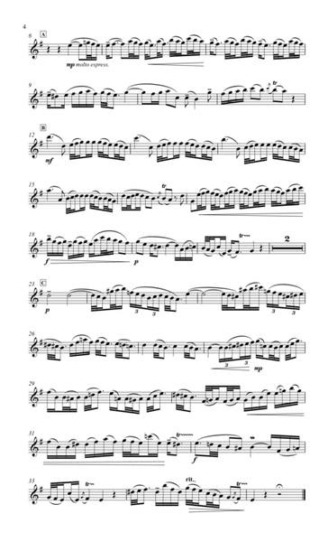Concerto for flute & piano image number null