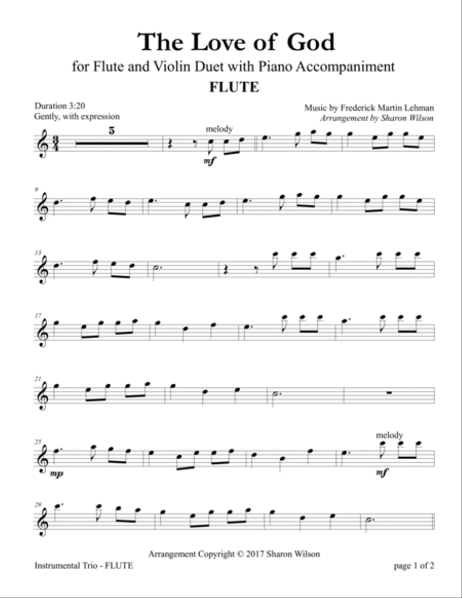 Music Theory Final Sheet music for Flute, Violin (Mixed Duet