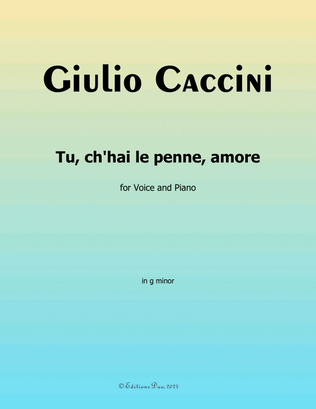 Tu, ch'hai le penne, Amore, by Giulio Caccini, in g minor