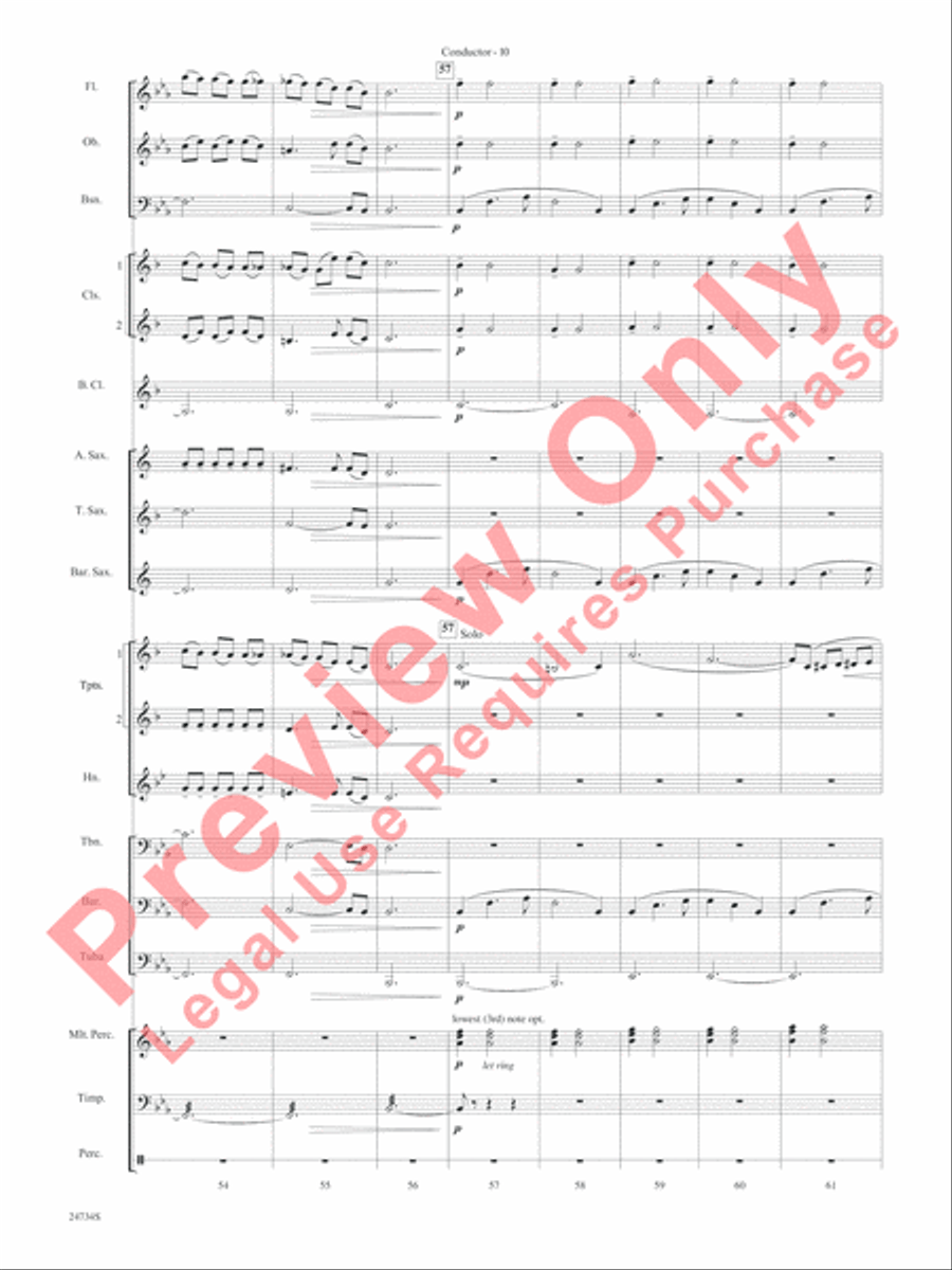 Nocturne (Opus 9, No. 2) Concert Band scores gallery preview page 13