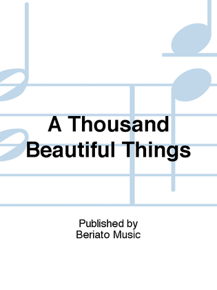 Book cover for A Thousand Beautiful Things