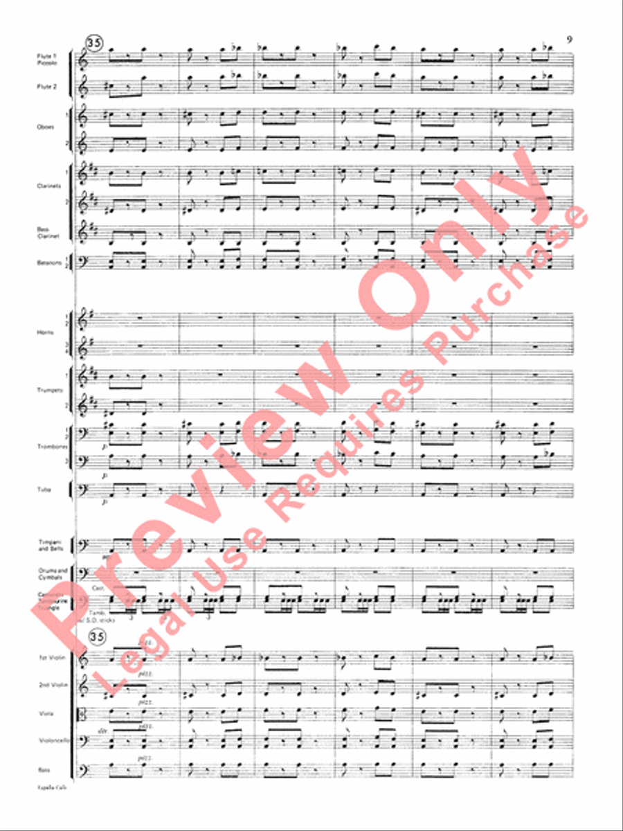 España Cañi Full Orchestra scores gallery preview page 10