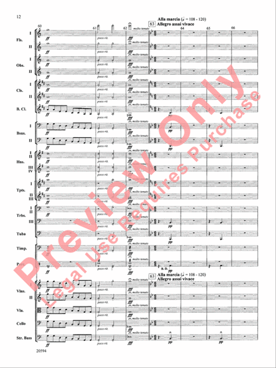 Symphony No. 9 (Fourth Movement) Full Orchestra scores gallery preview page 13