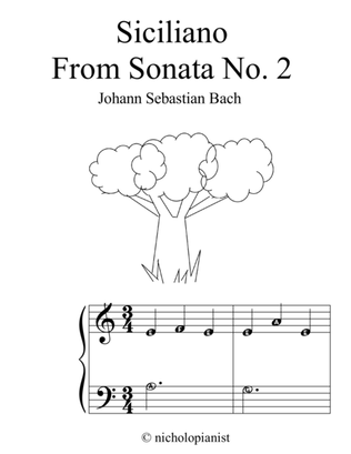 Siciliano from Sonata no. 2