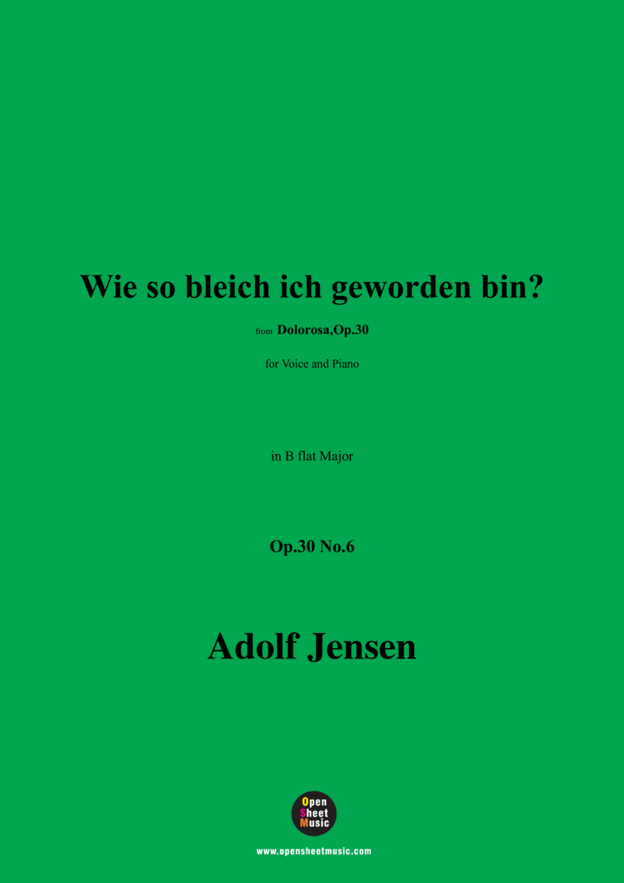 A. Jensen-Wie so bleich ich geworden bin?,Op.30 No.6,in B flat Major Voice scores gallery preview page 1