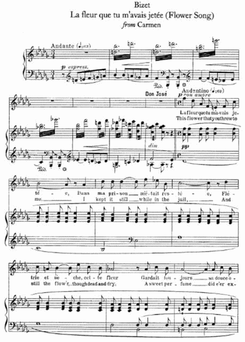 Georges Bizet - La fleur que tu m'avais jetée (Flower Song) from Carmen