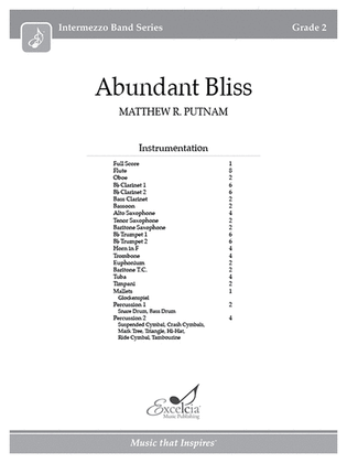 Book cover for Abundant Bliss