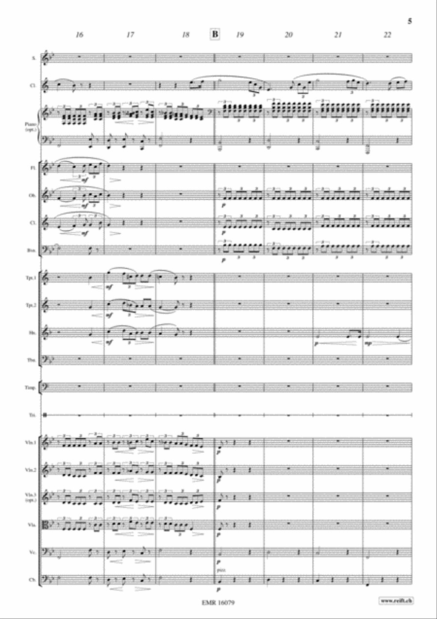 Der Hirt auf dem Felsen Der Hirt auf dem Felsen Orchestra scores gallery preview page 6