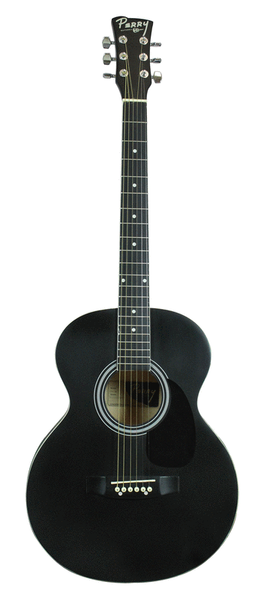 Perry Youth Acoustic Guitar