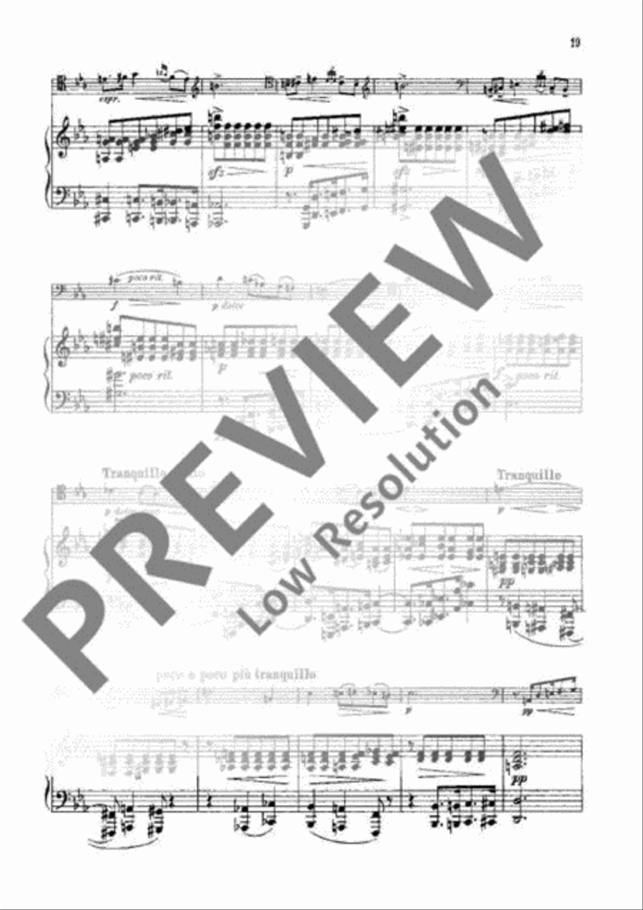 Sonata G Minor Piano Accompaniment scores gallery preview page 18