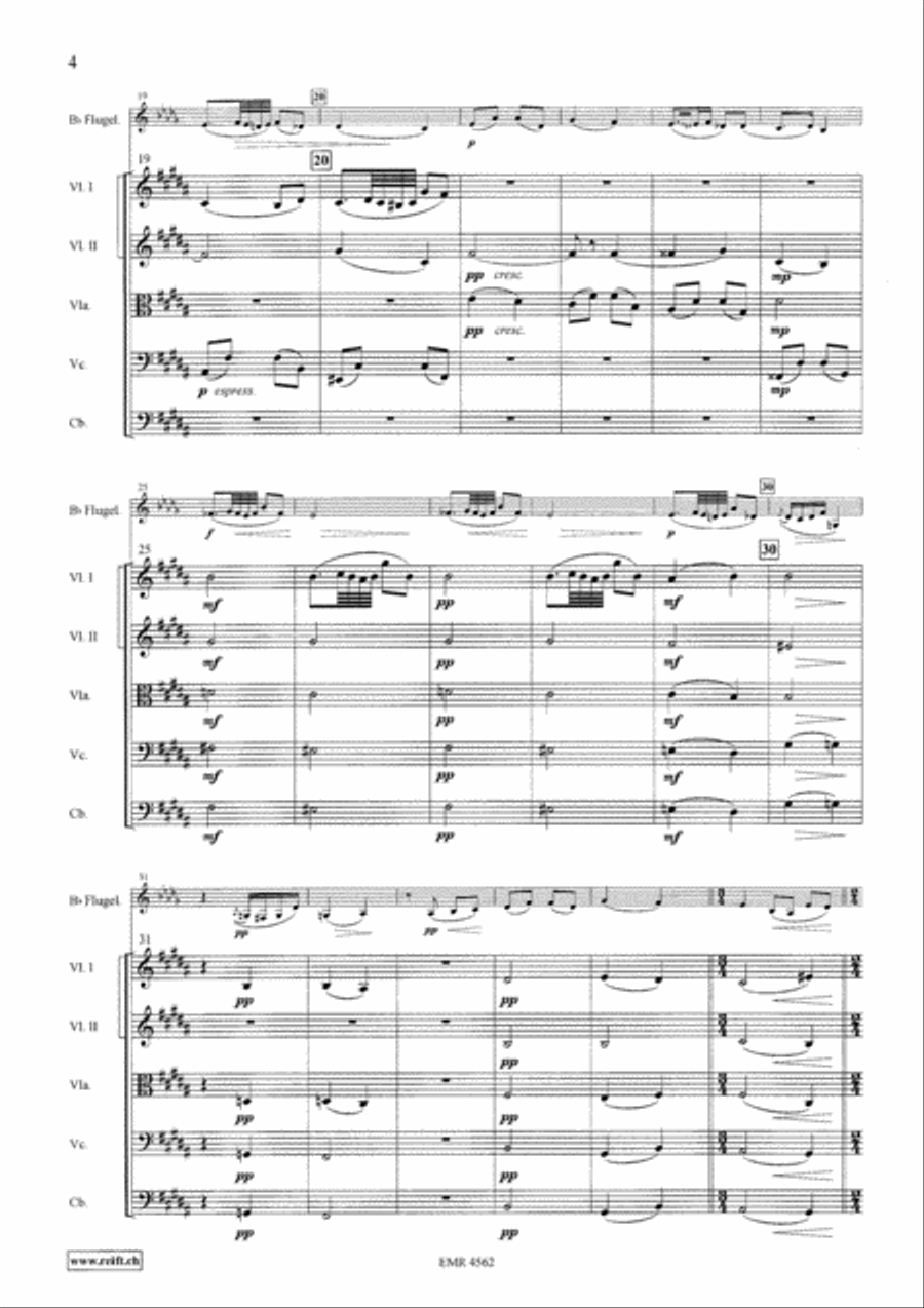 Andante Cantabile String Orchestra scores gallery preview page 4