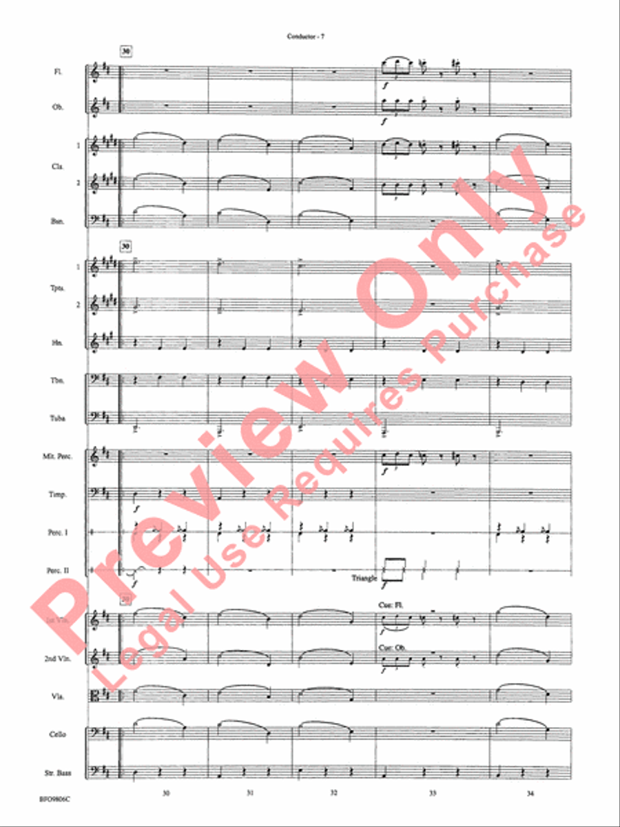 Waltz of the Flowers (from The Nutcracker Suite) Full Orchestra scores gallery preview page 10