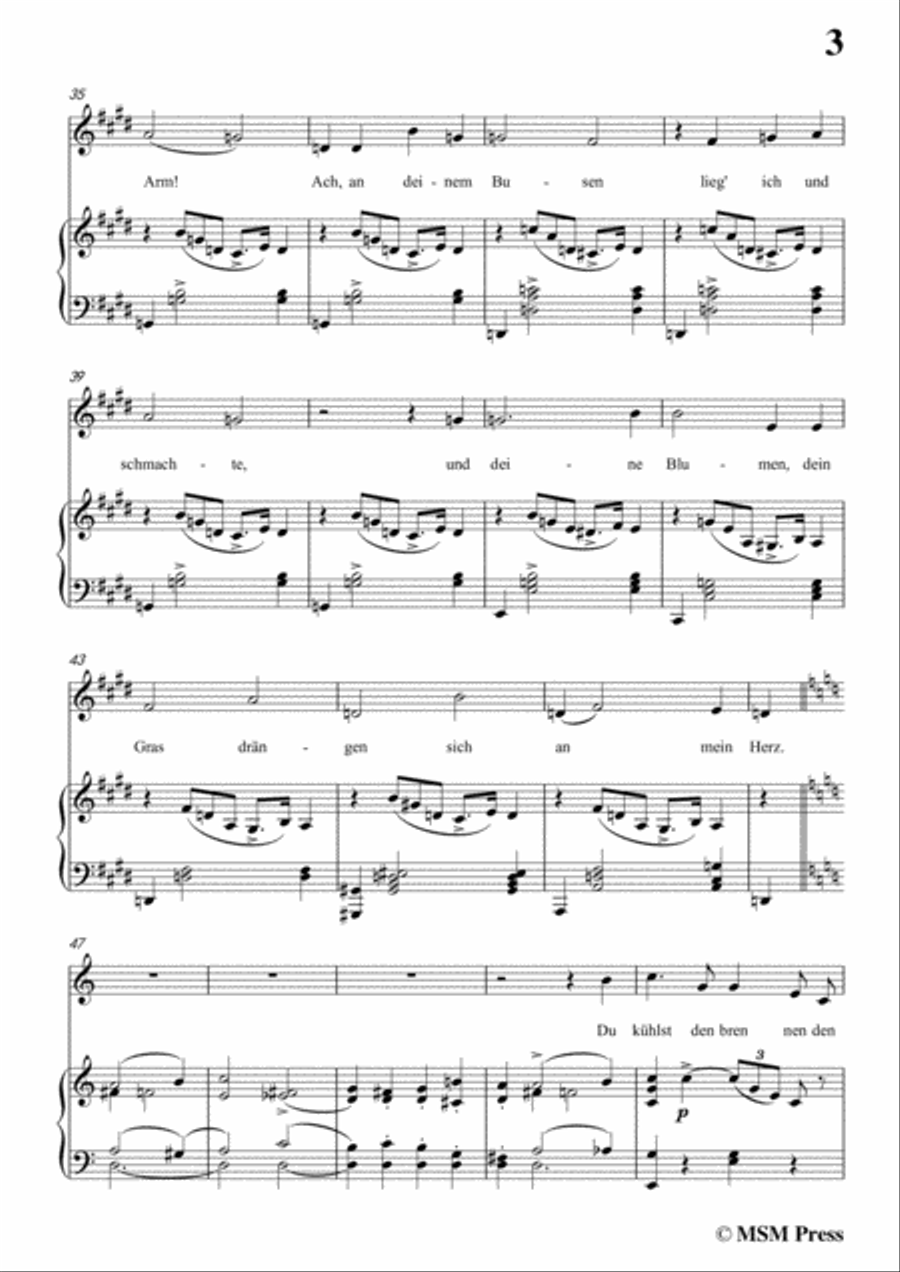 Schubert-Ganymed,Op.19 No.3,in E Major,for Voice&Piano Voice scores gallery preview page 5