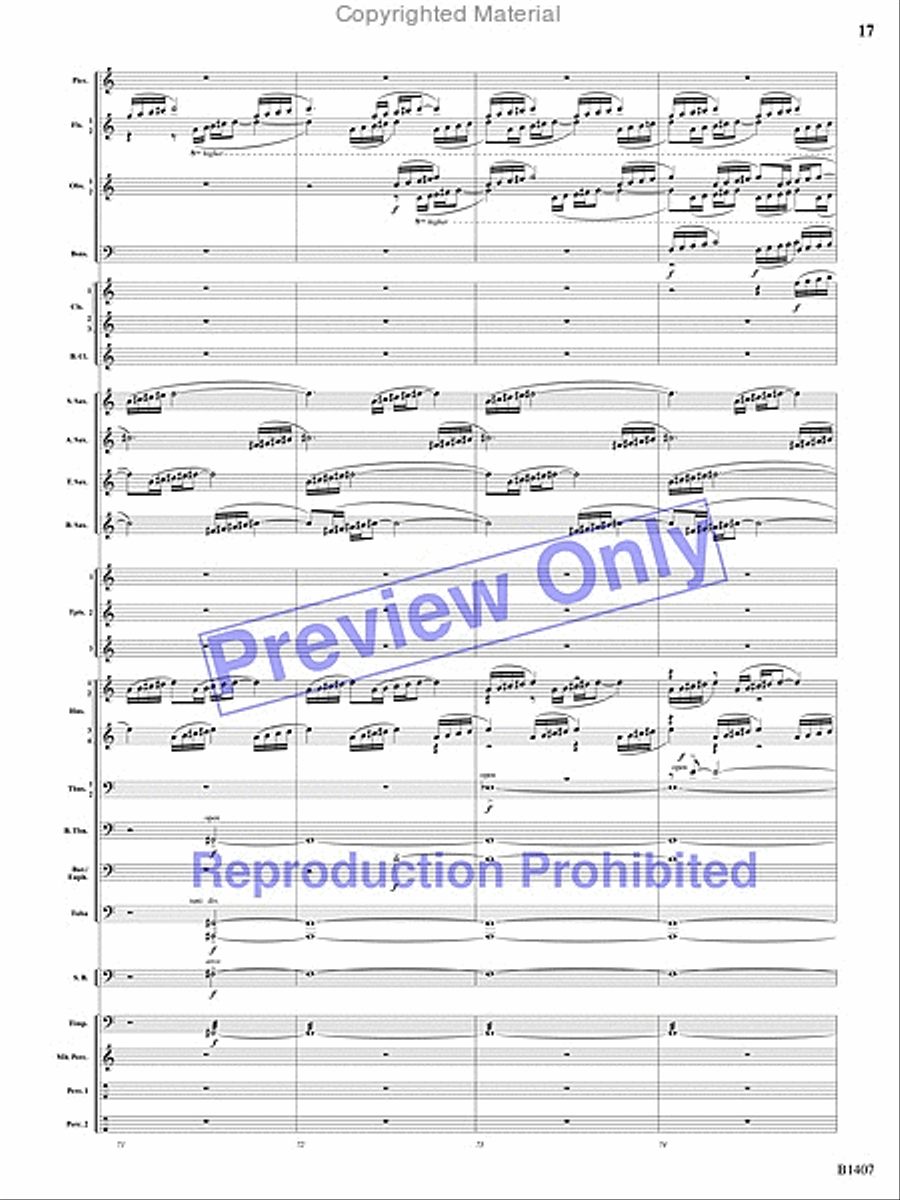 Antiphonal Fanfare Antiphonal Fanfare Concert Band scores gallery preview page 16