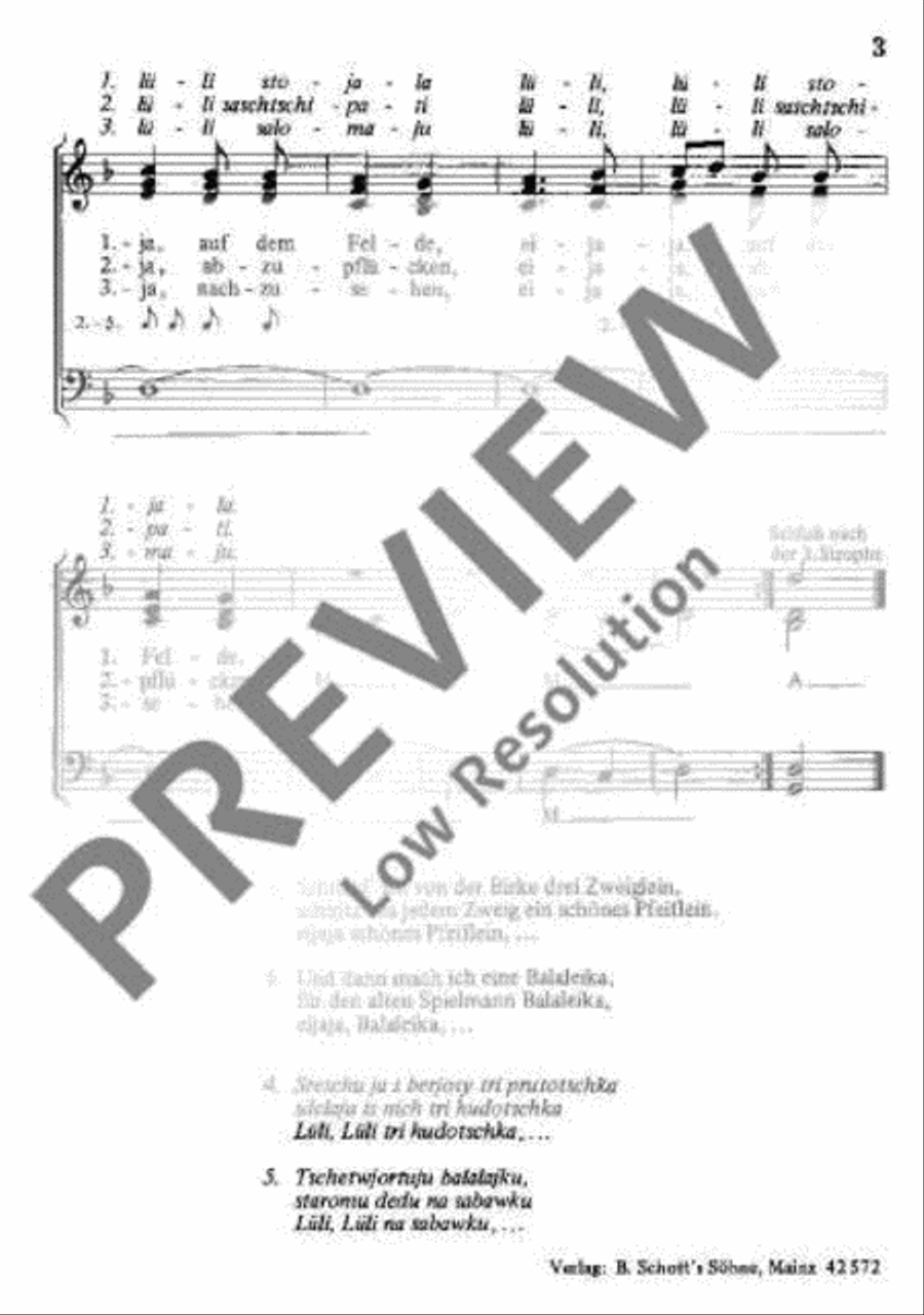 Stand ein Birkenbaum / Grauer Tauber Mixed Choir scores gallery preview page 5