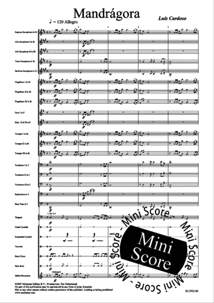 Mandragora Fanfare Band scores gallery preview page 5