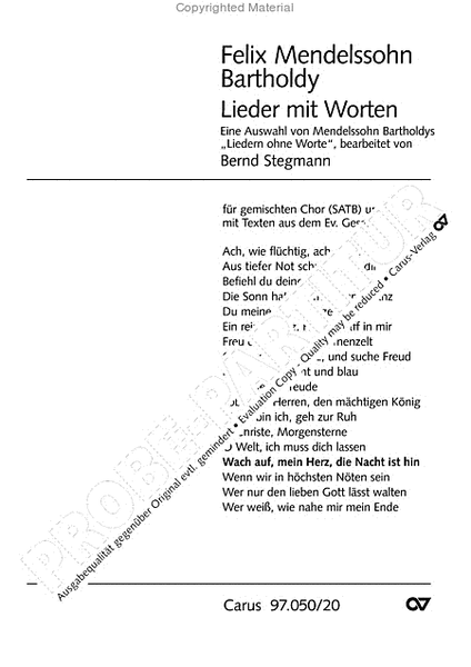 Lieder with Words
