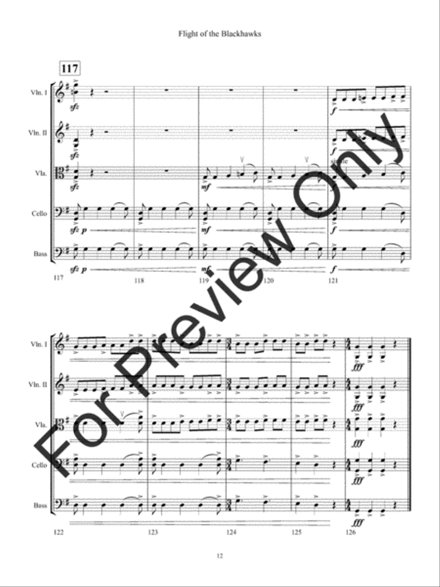 Flight of the Blackhawks Flight of the Blackhawks String Orchestra scores gallery preview page 15