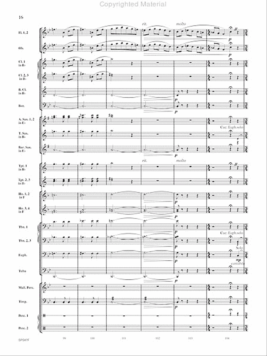 Polaska Przeplatanka Concert Band scores gallery preview page 17