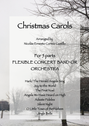 Christmas Carols for Flexible Ensemble