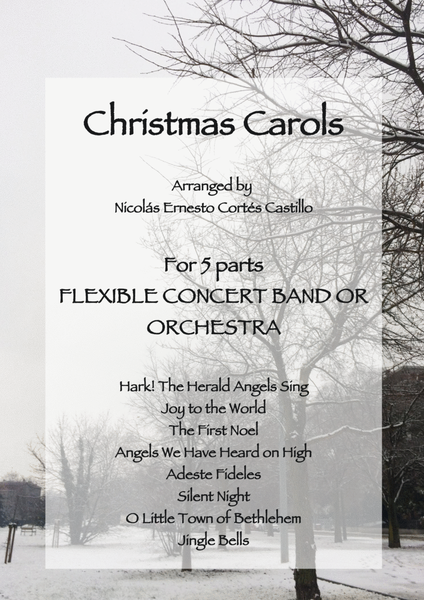 Christmas Carols for Flexible Ensemble image number null