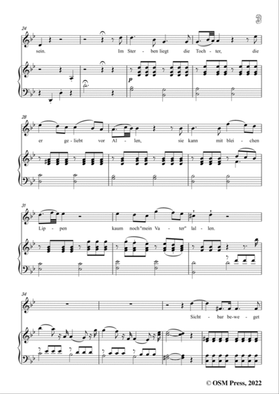 Loewe-Der selt'ne Beter,in g minor,Op.141,for Voice and Piano Voice Solo scores gallery preview page 5
