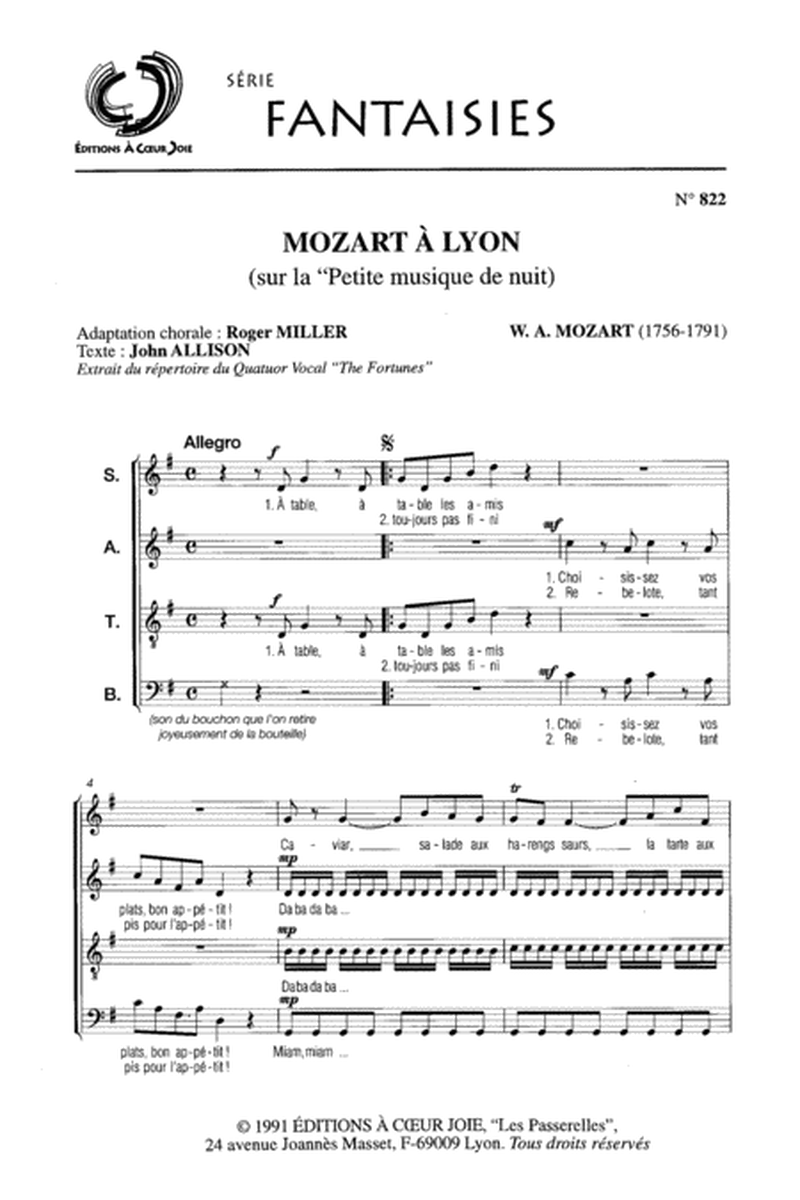 Mozart A Lyon (Petite Musique De Nuit)