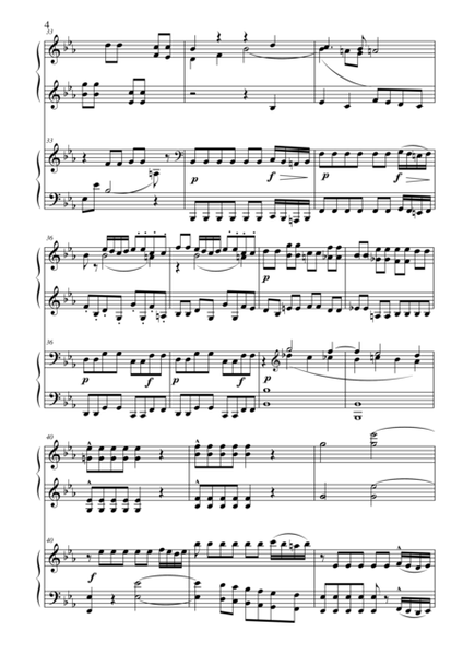 Mozart  The Magic Flute for 2 pianos (overture)