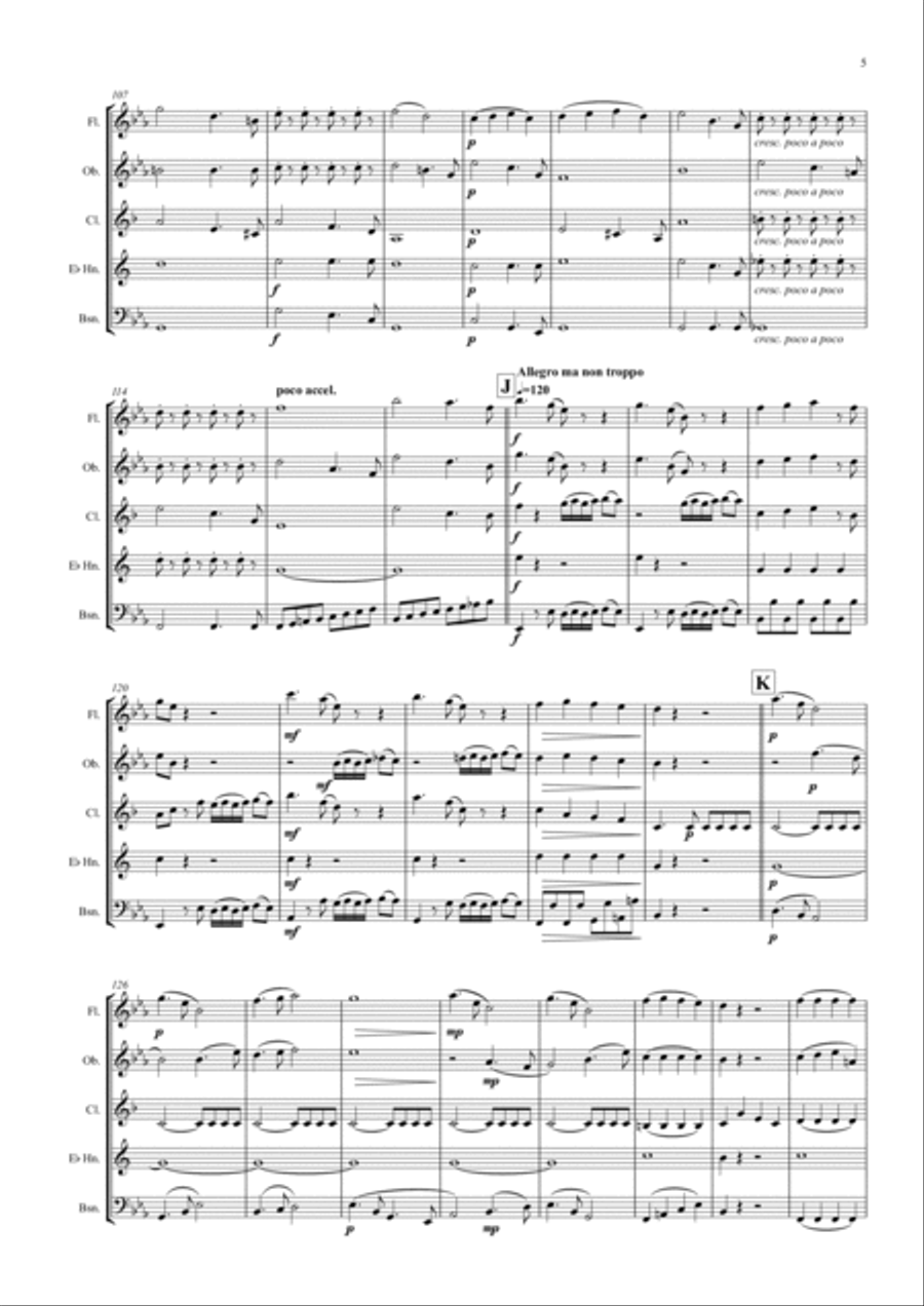 Divertimento No.1 in Eb major “Eine Kleine Tyne Musik” - wind quintet Woodwind Quintet scores gallery preview page 6