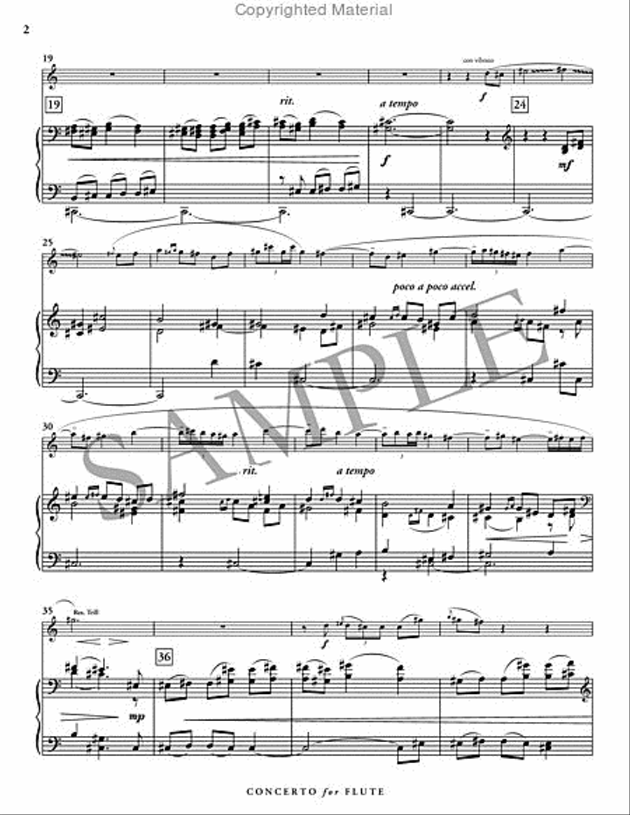 Concerto for Flute Flute Solo scores gallery preview page 3