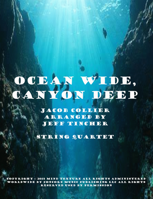Book cover for Ocean Wide, Canyon Deep