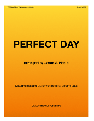Book cover for Perfect Day