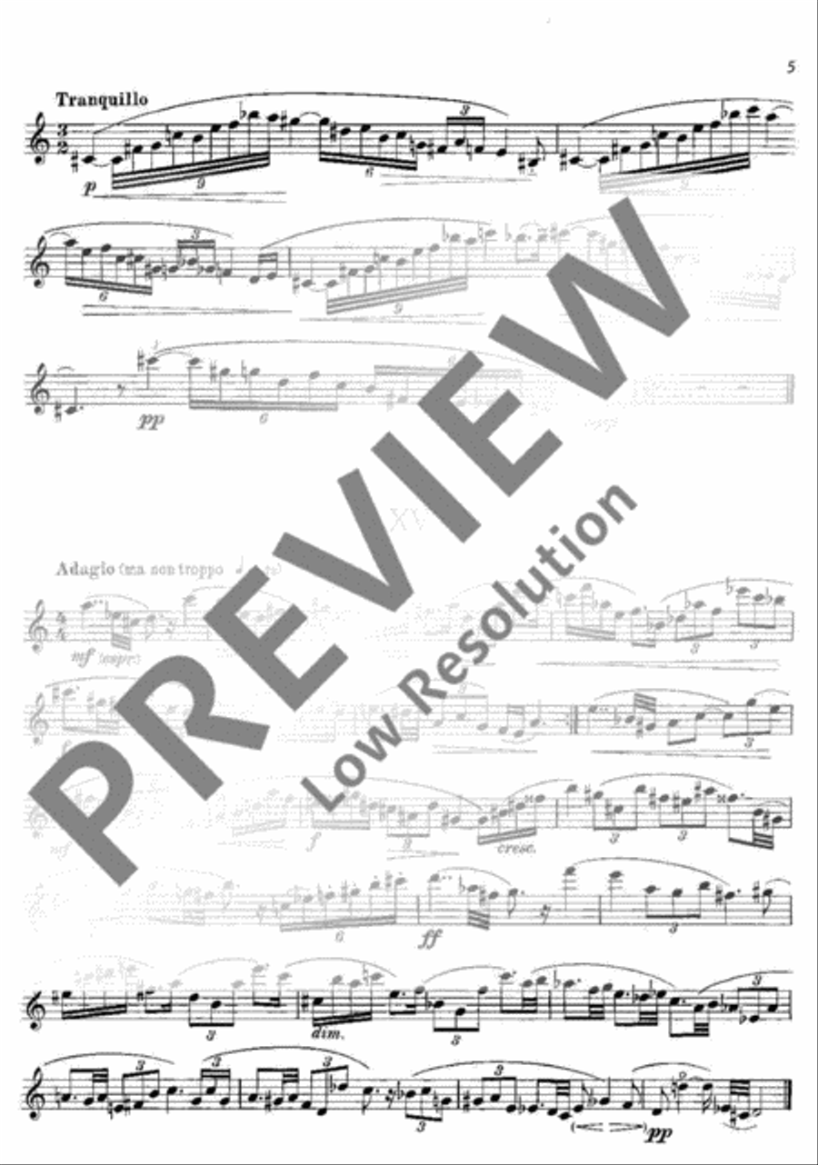 Modern Studies Flute Solo scores gallery preview page 6