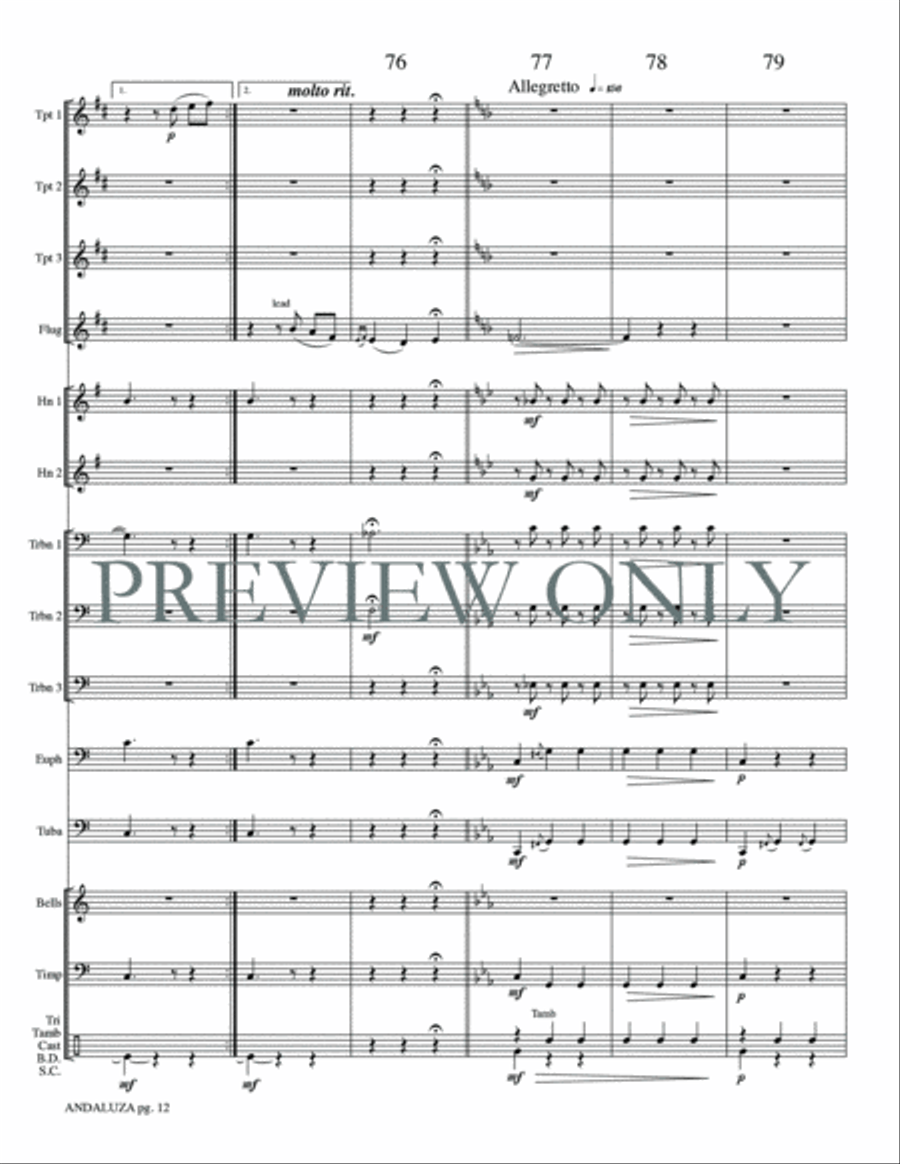 Andaluza Small Ensemble scores gallery preview page 14