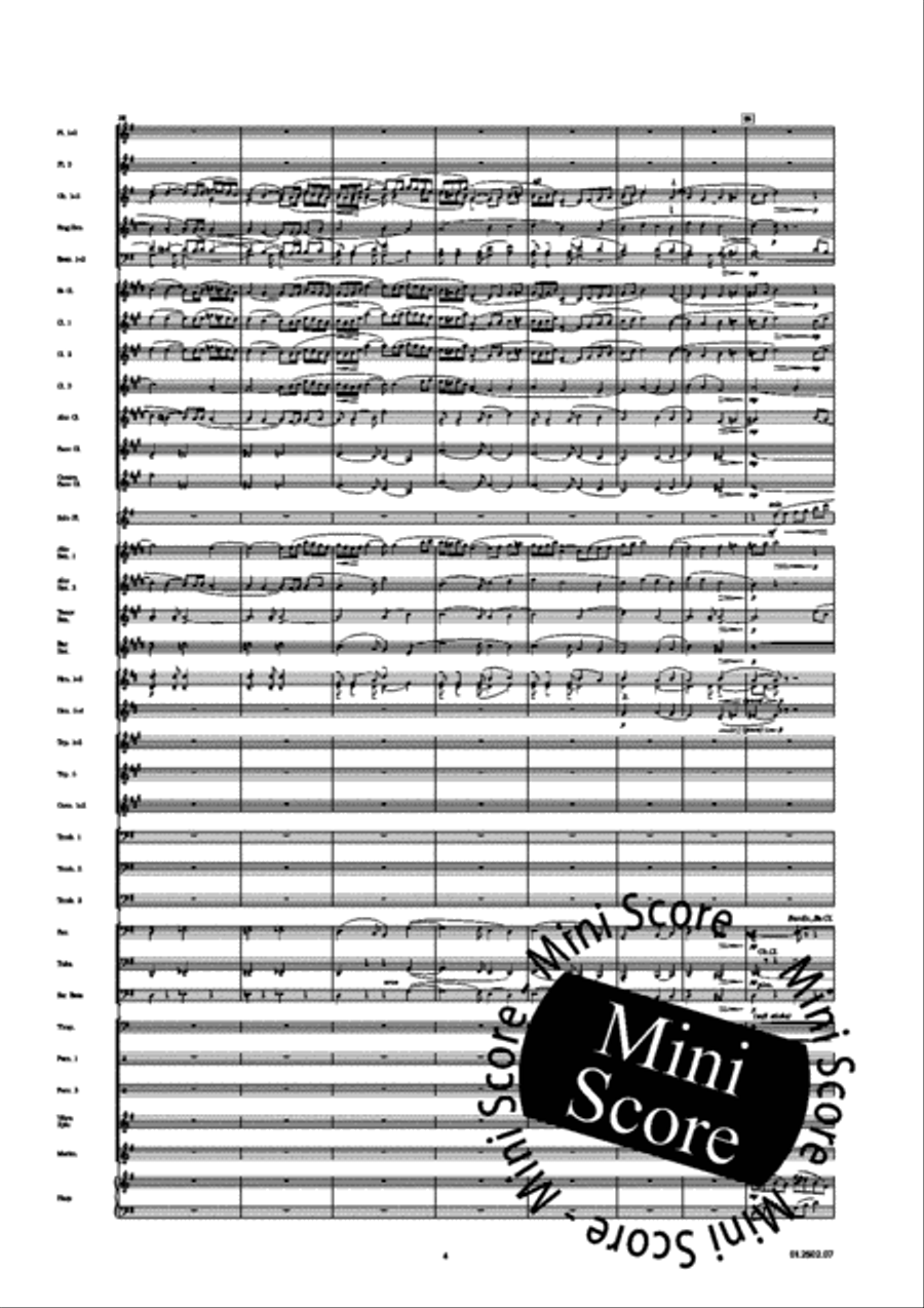 Divertimento for Flute Divertimento for Flute Concert Band scores gallery preview page 8