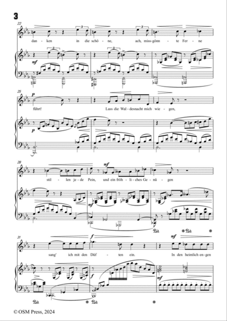 A. Jensen-Im Walde(Waldesnacht du wunderkühle),in E flat Major,Op.22 No.4 Voice scores gallery preview page 4