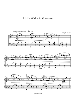 Book cover for Little Waltz in G minor for Intermediate Solo Piano