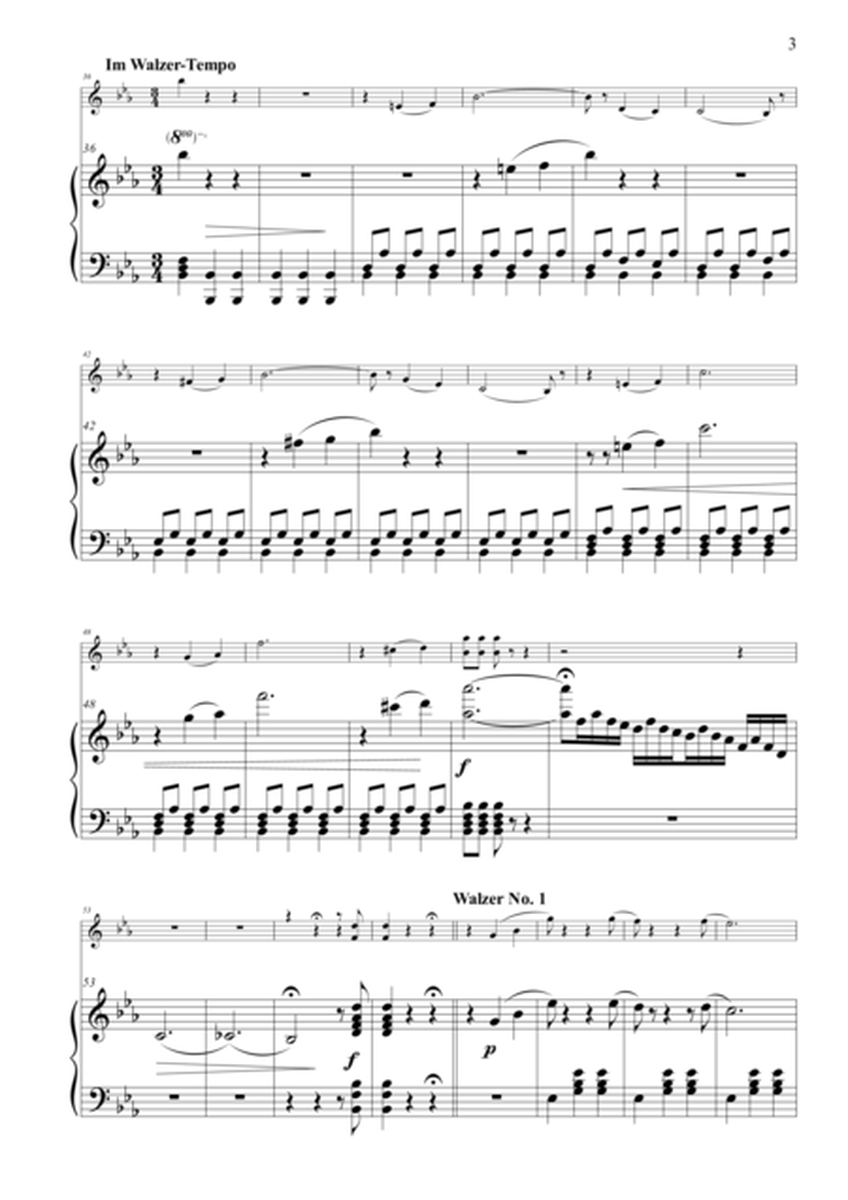 Vom Rhein zur Donau, Waltz for Violin and Piano, Op. 138 image number null