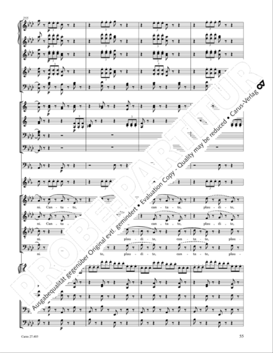 Mottetto per San Paolino Mottetto per San Paolino 4-Part scores gallery preview page 56